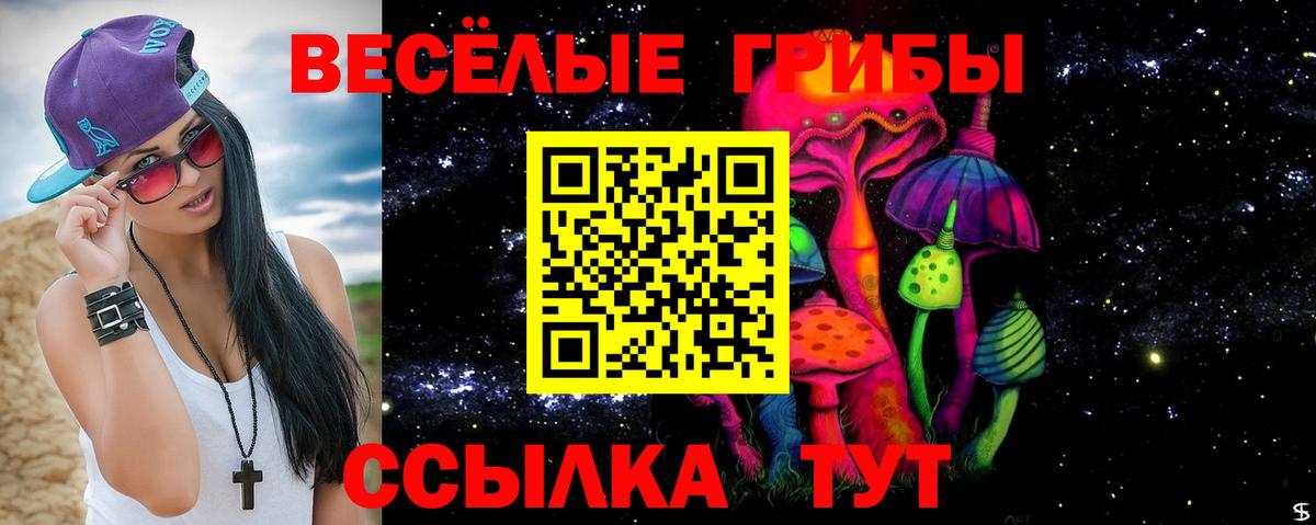 Галлюциногенные грибы Magic Shrooms Фрязино