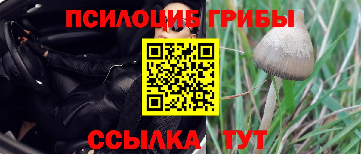 Псилоцибиновые грибы Psilocybine cubensis  Вход с VPN  Фрязино 